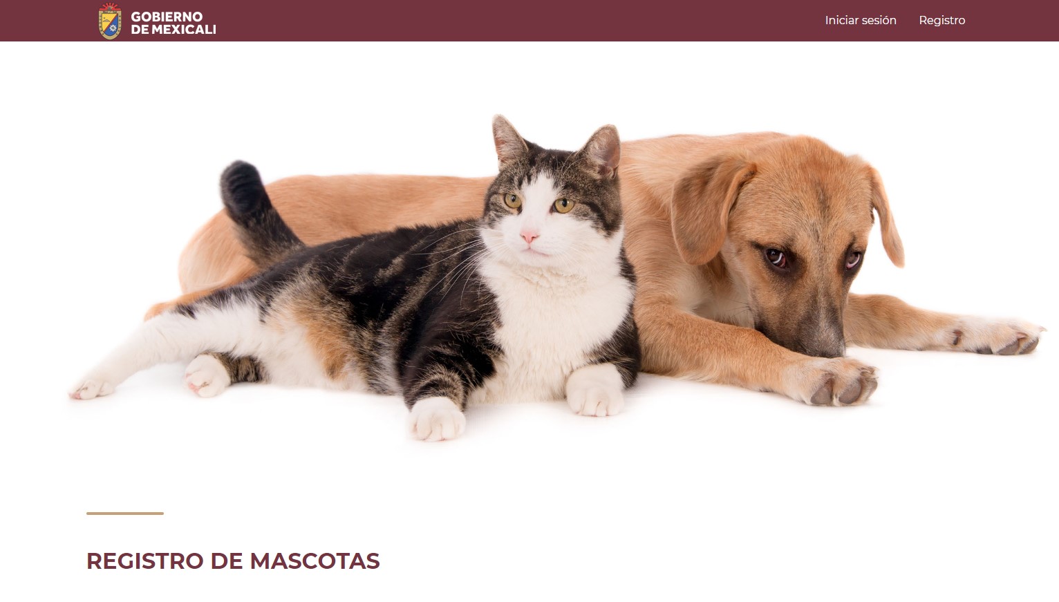 Lanzamiento de portal de registro de Mascotas Domesticas