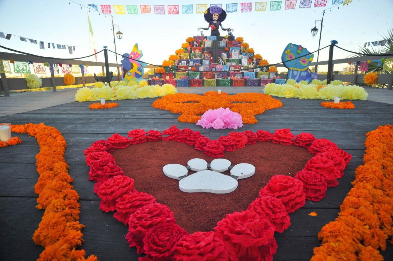 VISITAN MÁS DE 17 MIL MEXICALENSES ALTAR DEDICADO A MASCOTAS EN EL BOSQUE DE LA CIUDAD